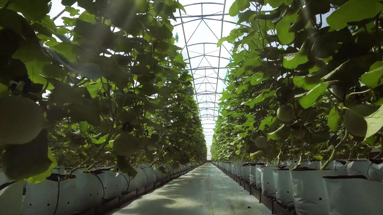 The PAN Group: Thành công vì kinh doanh bền vững 