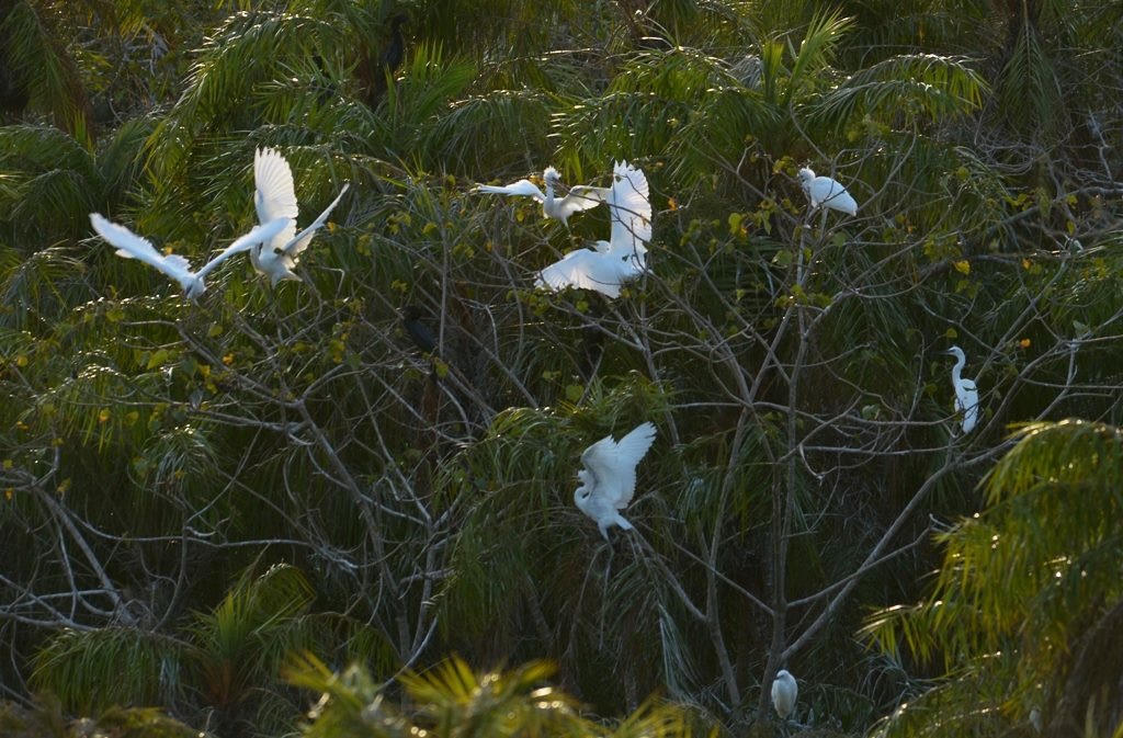 Bạc Liêu: Tập trung kêu gọi đầu tư, đánh thức tiềm năng