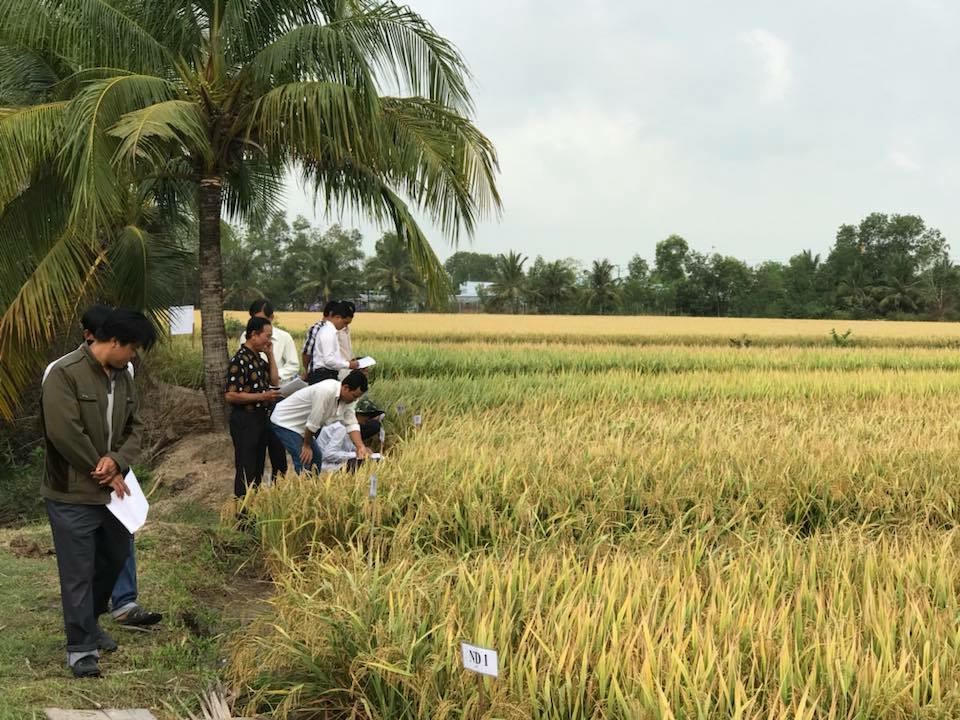 Bạc Liêu: Tập trung kêu gọi đầu tư, đánh thức tiềm năng