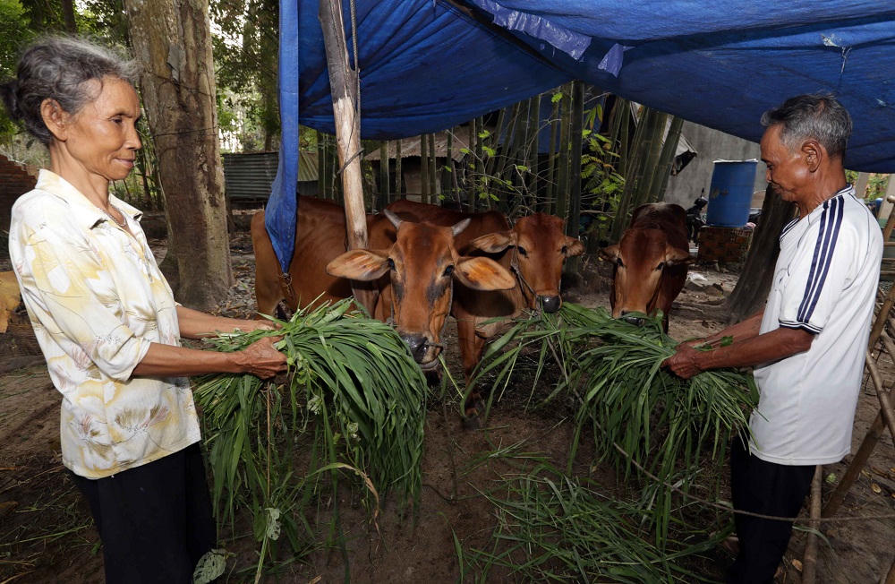 Hàng vạn gia đình được dùng vốn ưu đãi, vẫn cần "đục trần" để tăng hiệu quả