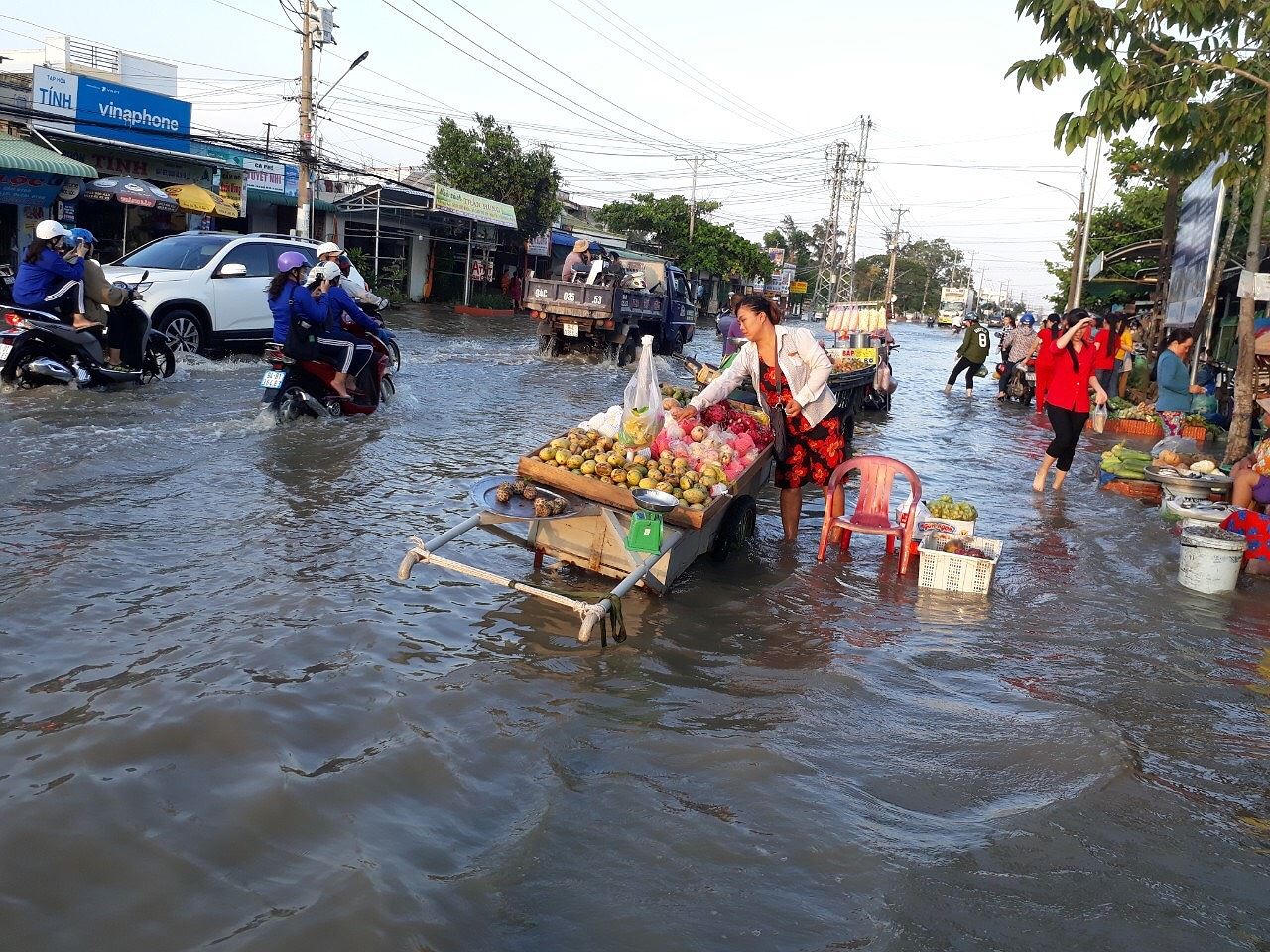 Ám ảnh cảnh triều cường dâng cao kỷ lục ở Bạc Liêu