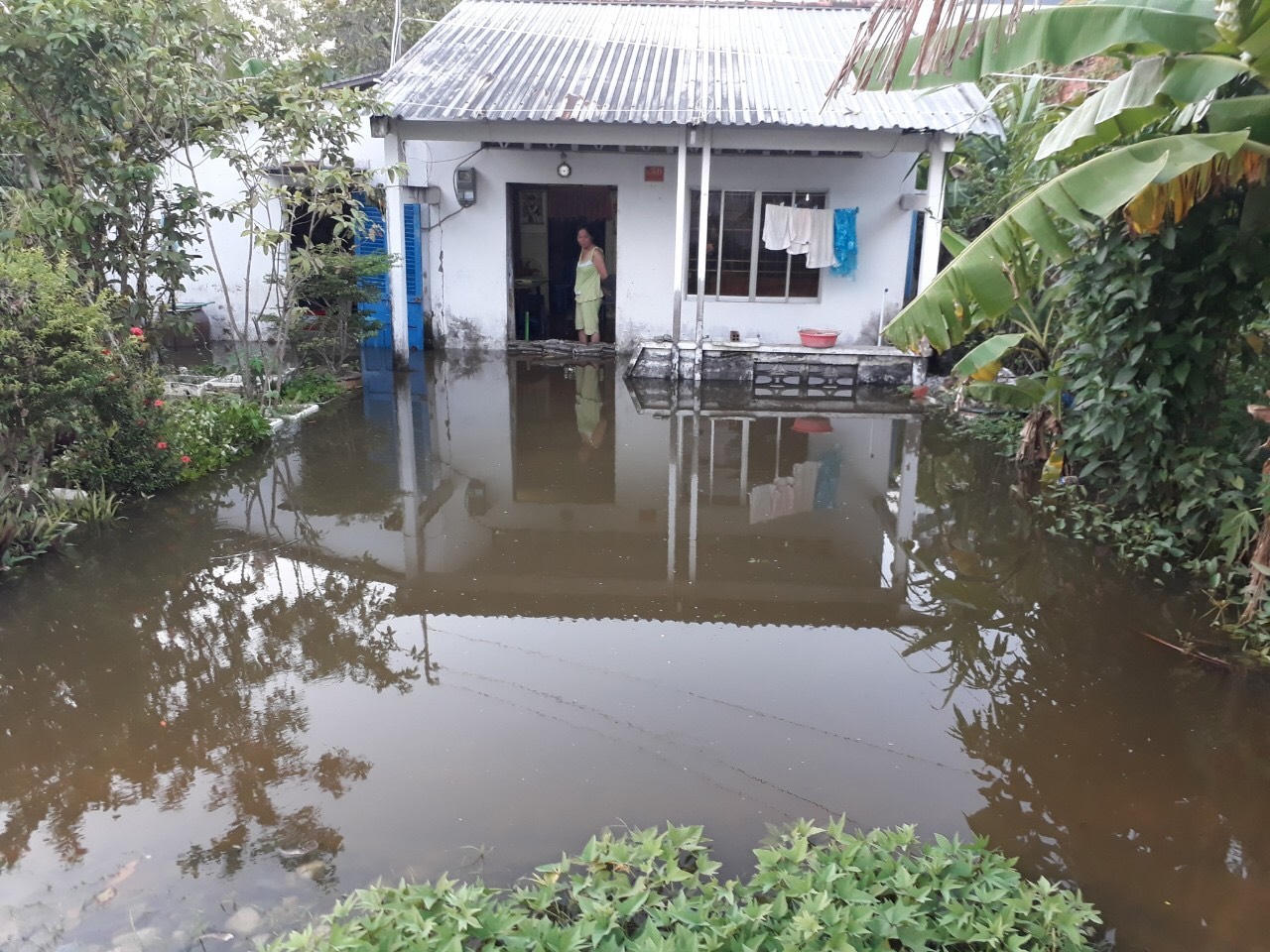 Ám ảnh cảnh triều cường dâng cao kỷ lục ở Bạc Liêu