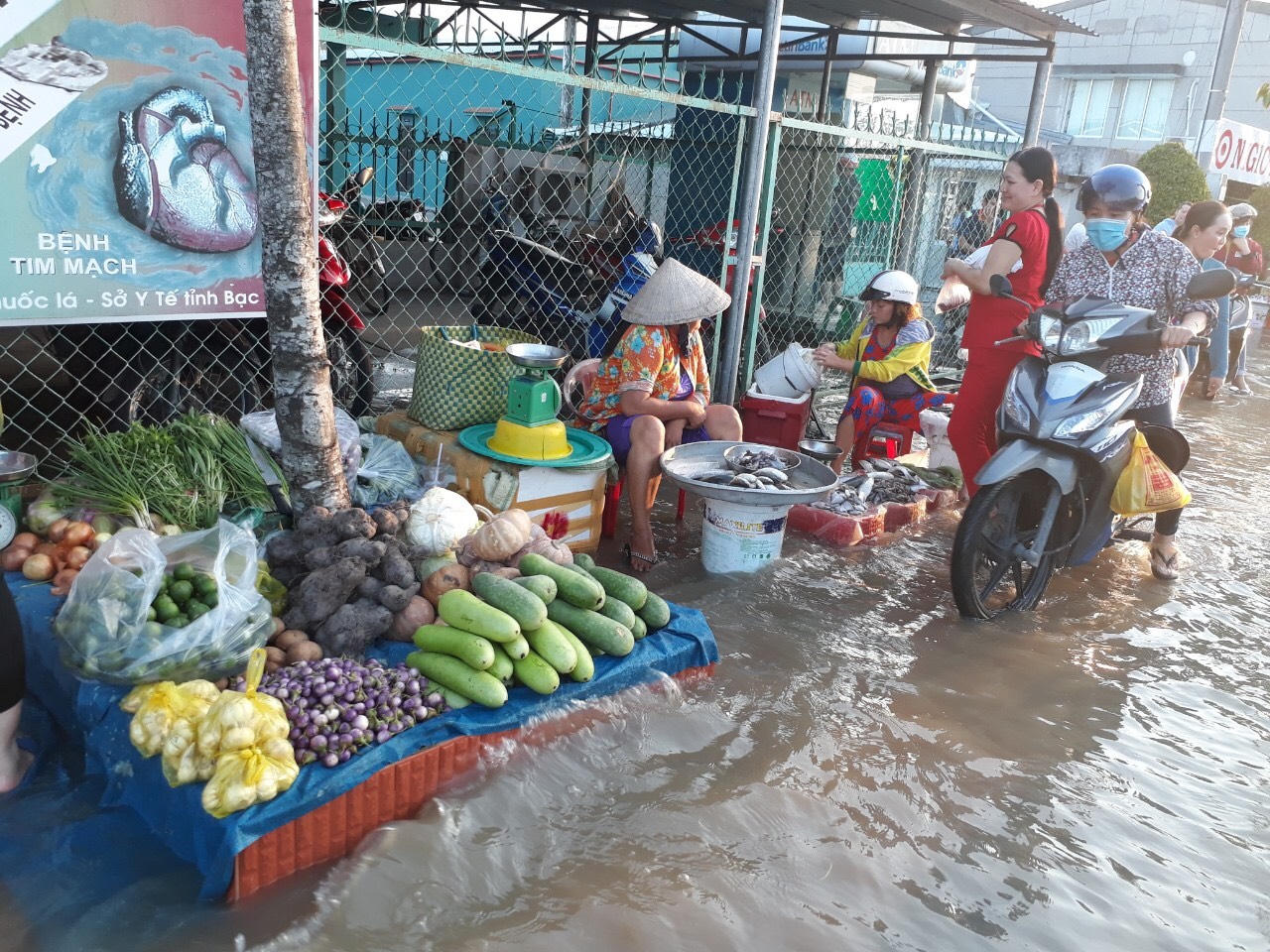 Ám ảnh cảnh triều cường dâng cao kỷ lục ở Bạc Liêu