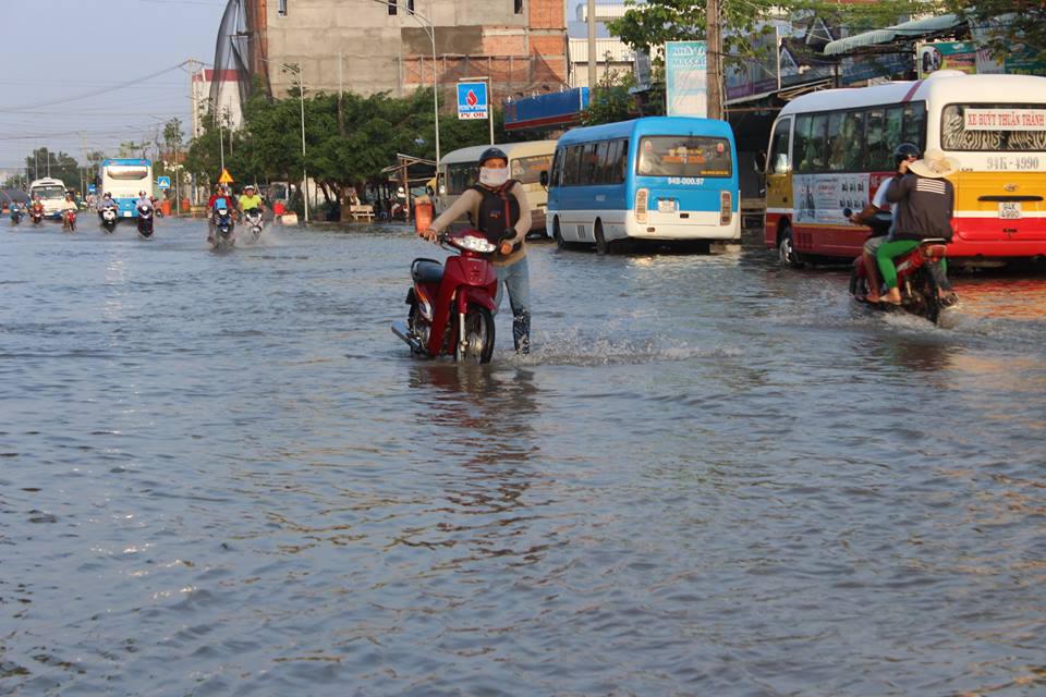 Ám ảnh cảnh triều cường dâng cao kỷ lục ở Bạc Liêu