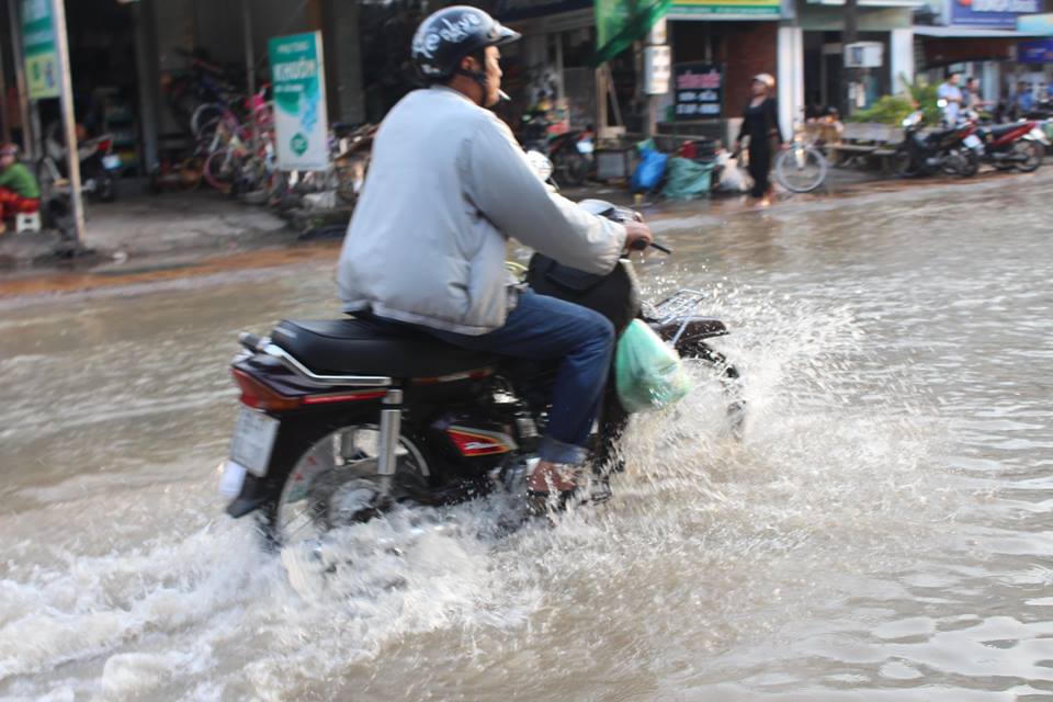 Ám ảnh cảnh triều cường dâng cao kỷ lục ở Bạc Liêu