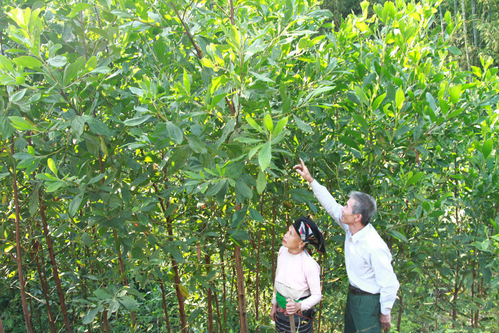 Hiệu quả tín dụng chính sách xã hội ở Thanh Hóa