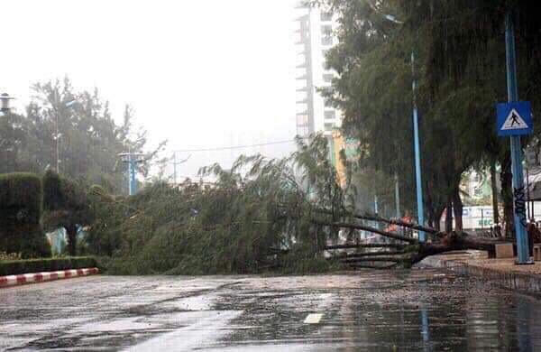 Bà Rịa-Vũng Tàu: Sơ tán hơn 62.000 người trong cơn bão số 9