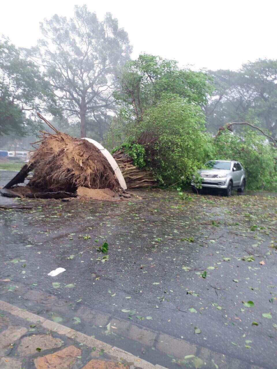 Bà Rịa-Vũng Tàu: Sơ tán hơn 62.000 người trong cơn bão số 9