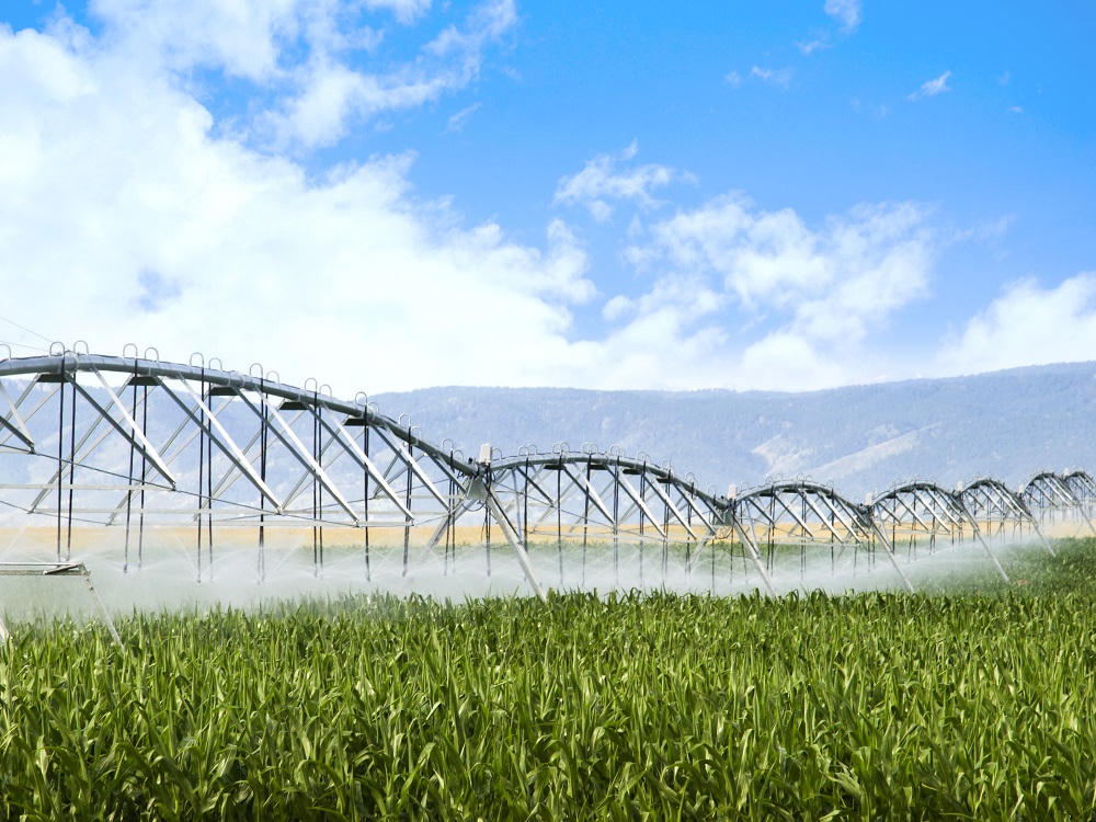 Tiên phong sản xuất nông nghiệp công nghệ cao, Tập đoàn TH nhận bằng khen từ Thủ tướng Chính phủ