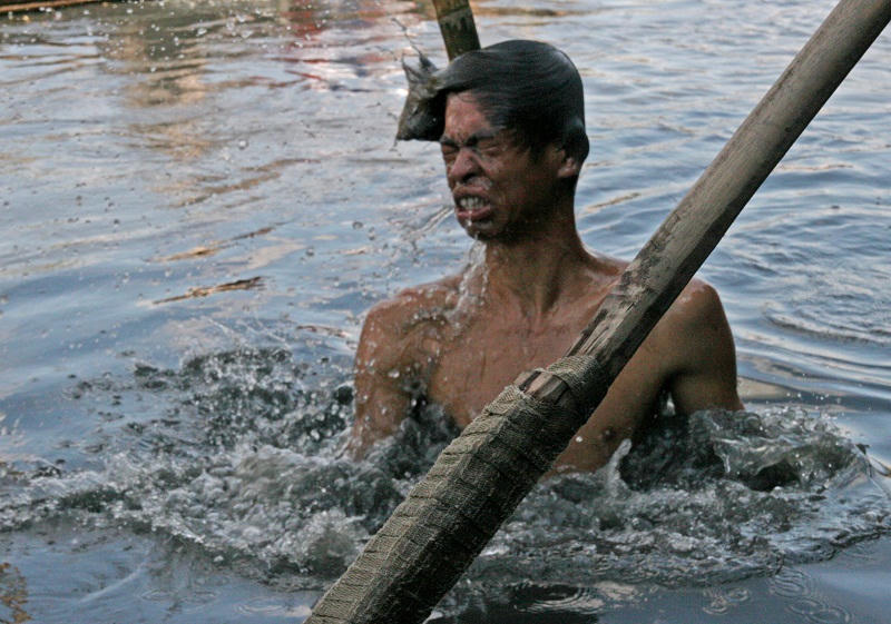 Đổi bệnh lấy miếng ăn giữa dòng kênh đen 