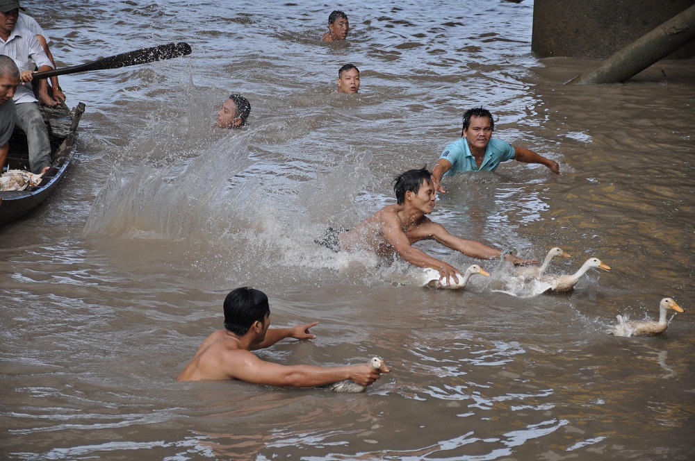 Độc đáo lễ hội Trai Đàng làng Bến Gỗ