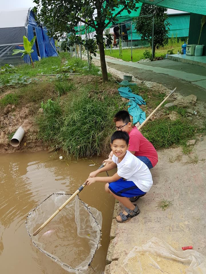 Nông trại chia sẻ: Tiềm năng phát triển bền vững tại Việt Nam