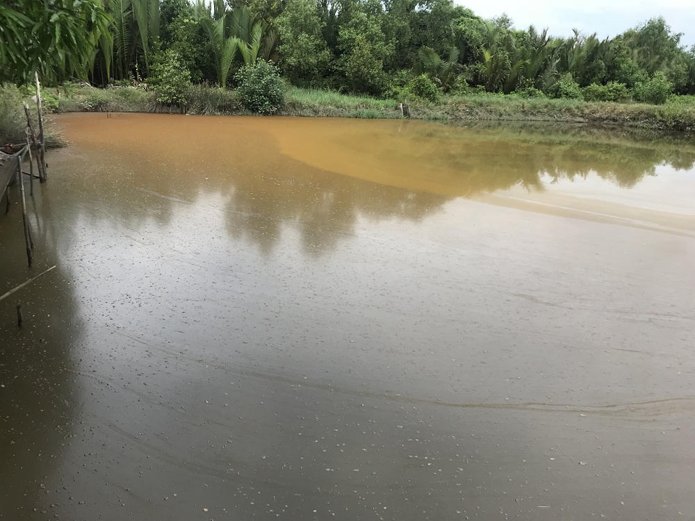 Long An: Bị buộc nhường đất cho dự án kinh tế với “giá bèo”, người dân kêu cứu