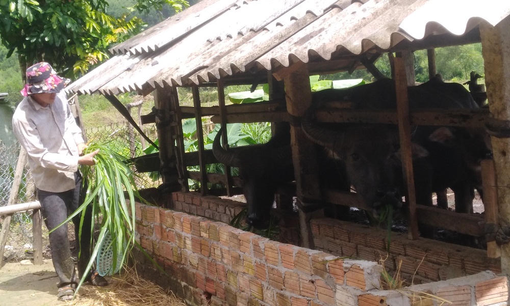 Vốn chính sách vun mầm no ấm ở Minh Long