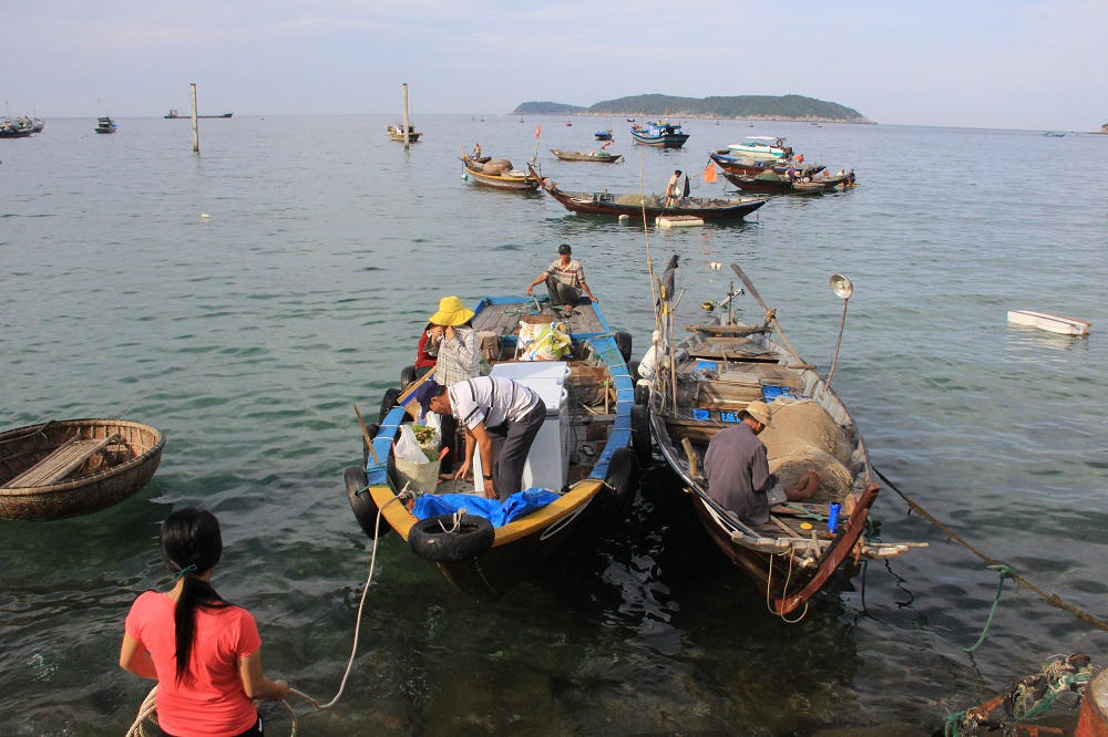 Bình yên Cù Lao Chàm