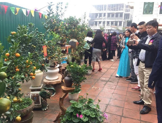 Tứ Liên đón nhận danh hiệu làng nghề quất cảnh truyền thống