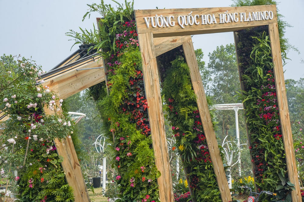 Háo hức “check in” tại Lễ hội Hoa hồng 