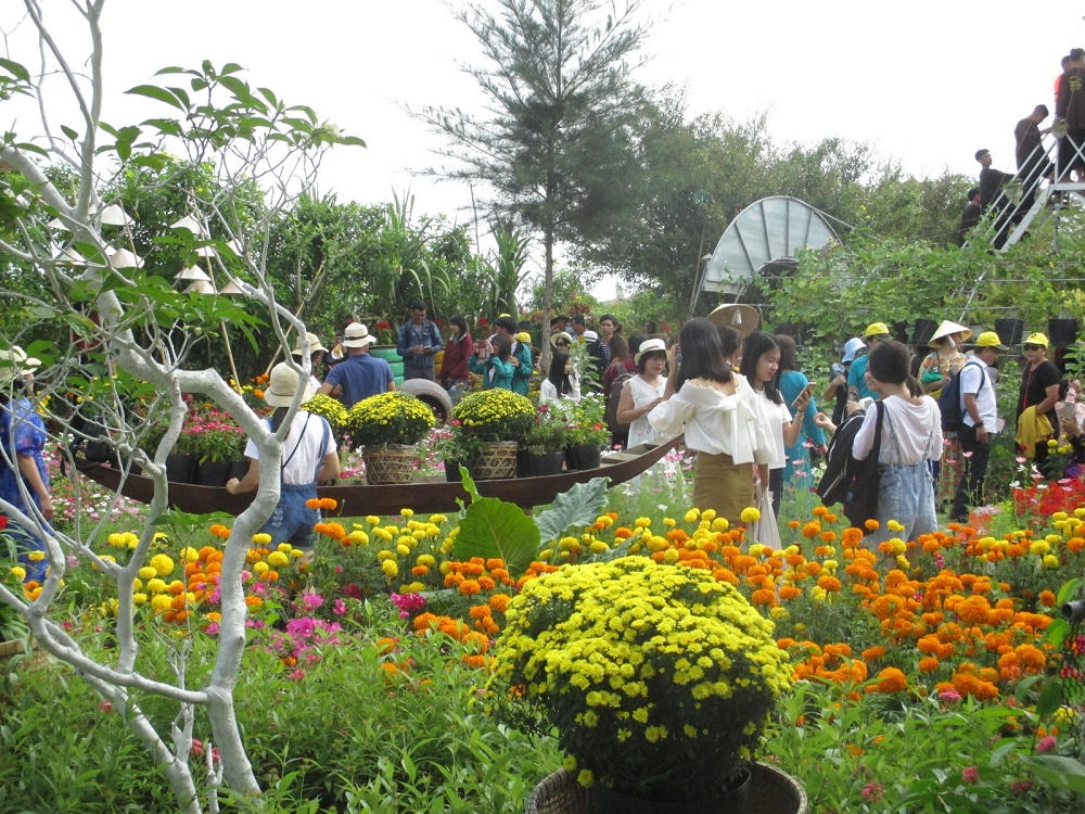 Làng hoa Sa Đéc rộn ràng sắc xuân  