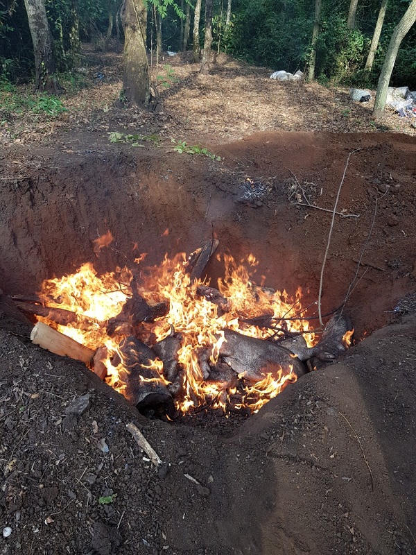 Đồng Nai: Bắt giữ hàng tấn heo chết mổ thịt bán cho người tiêu dùng