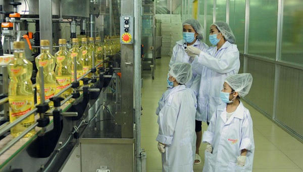 Dầu ăn 100% từ cá an toàn & chất lượng cho mọi gia đình