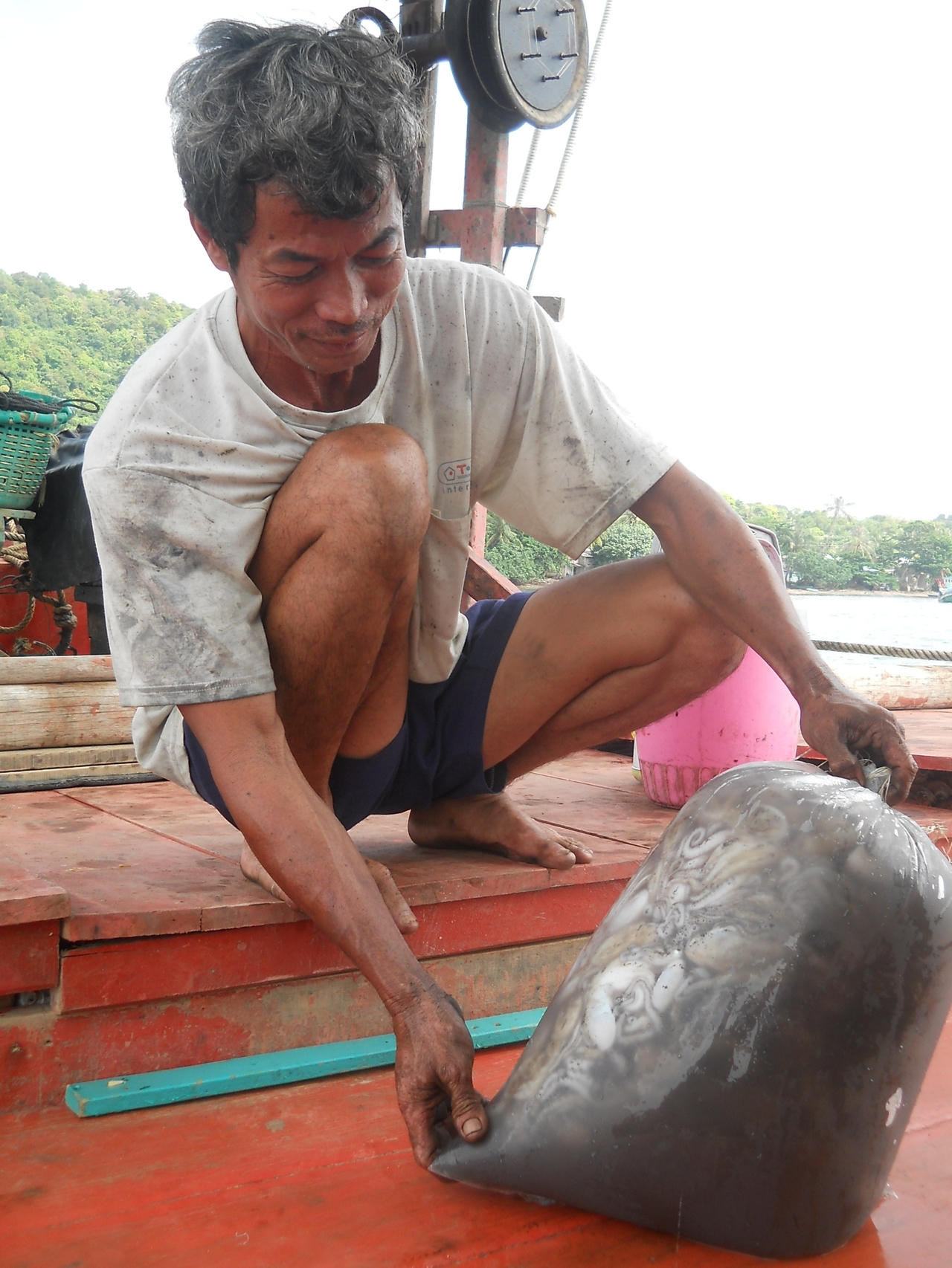 Nghề câu mực tuộc 