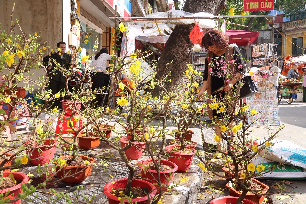 Hương vị Tết xưa ở chợ hoa nổi tiếng Hà Thành