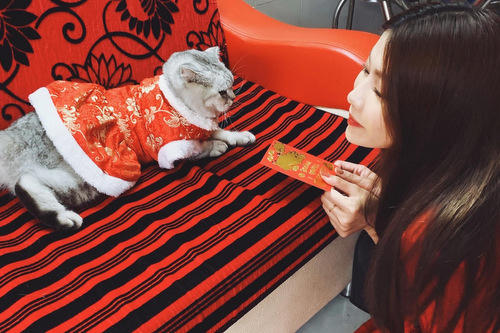 Quỳnh Châu khoe ảnh hài hước khi lì xì cho mèo cưng.