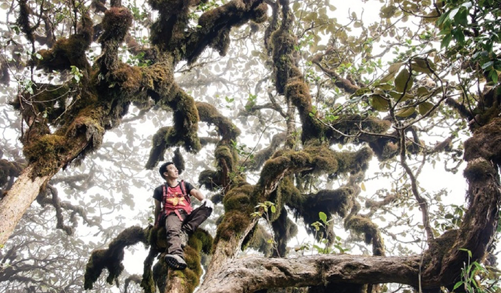 Trải nghiệm ở cột mốc 79 - hơi thở ngàn năm đầy sức sống của Tổ quốc