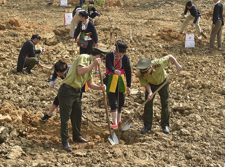 Tổng Bí thư, Chủ tịch nước Nguyễn Phú Trọng phát động Tết trồng cây