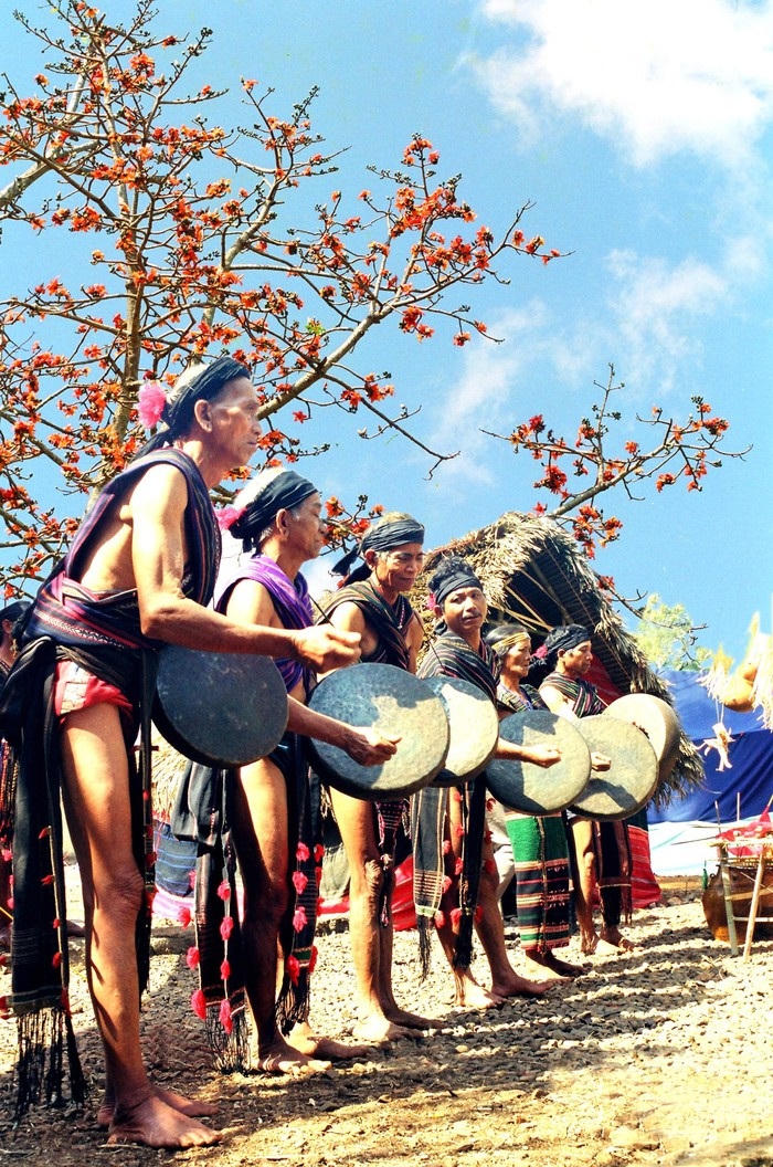 Mùa xuân dự ngày hội đoàn viên đồng bào M'nông