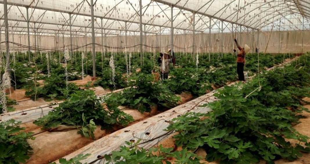 Nghi án Giám đốc sở đem 28 tỷ ngân sách đầu tư công ty của vợ