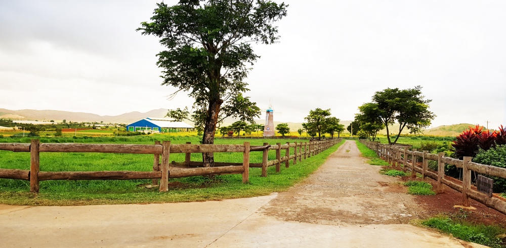 vinamilk mo rong dau tu vao mien tay nam bo