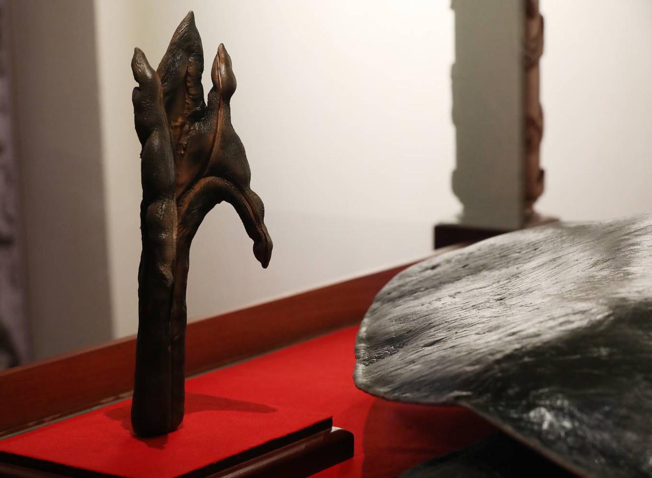 Tiêu bản rùa Hồ Gươm cuối cùng trưng bày ở đền Ngọc Sơn