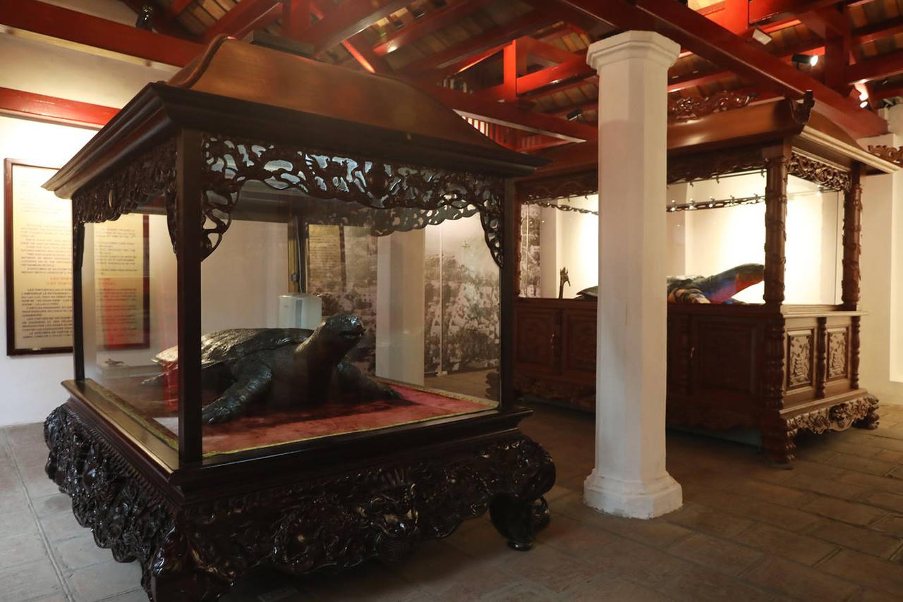 Tiêu bản rùa Hồ Gươm cuối cùng trưng bày ở đền Ngọc Sơn