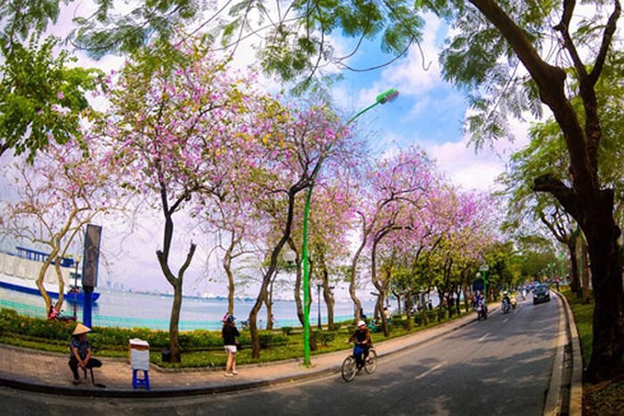 Nhạc chim [Truyện ngắn]