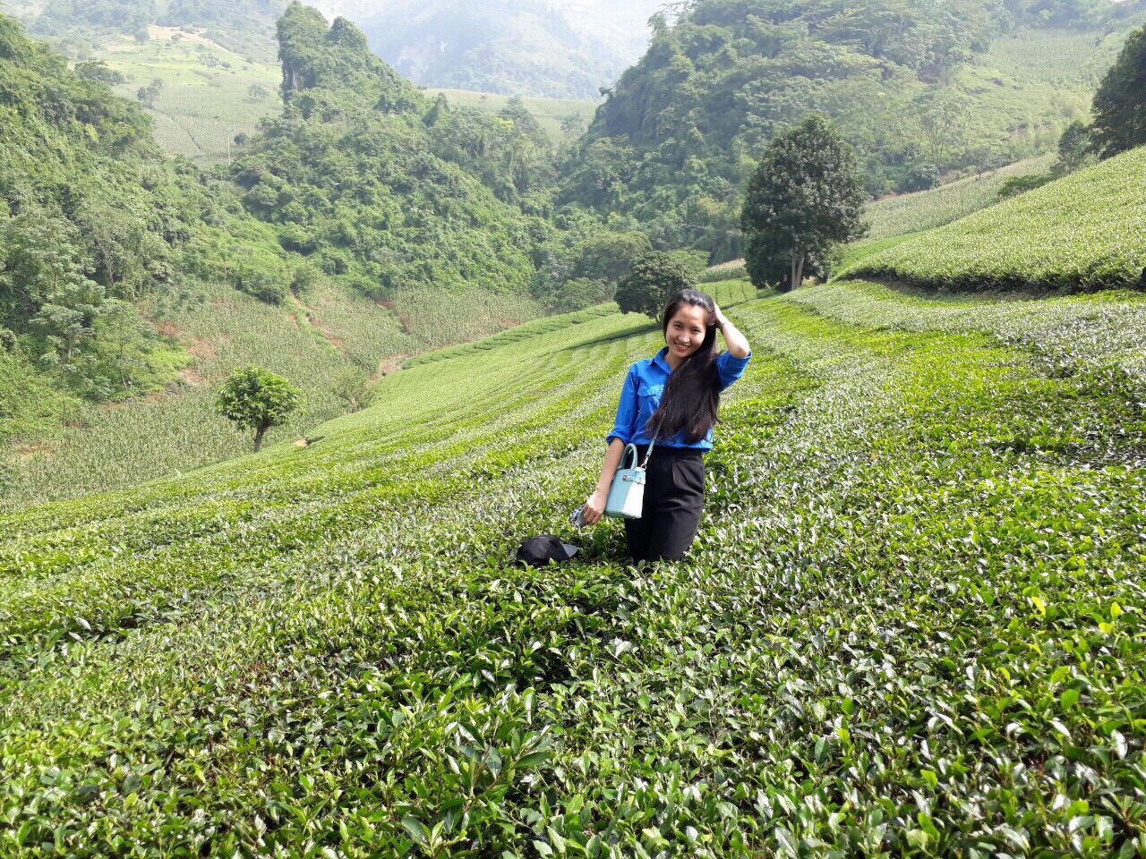 Tuổi trẻ Bộ Tư pháp hướng về Kỷ niệm 88 năm Ngày thành lập Đoàn TNCS Hồ Chí Minh