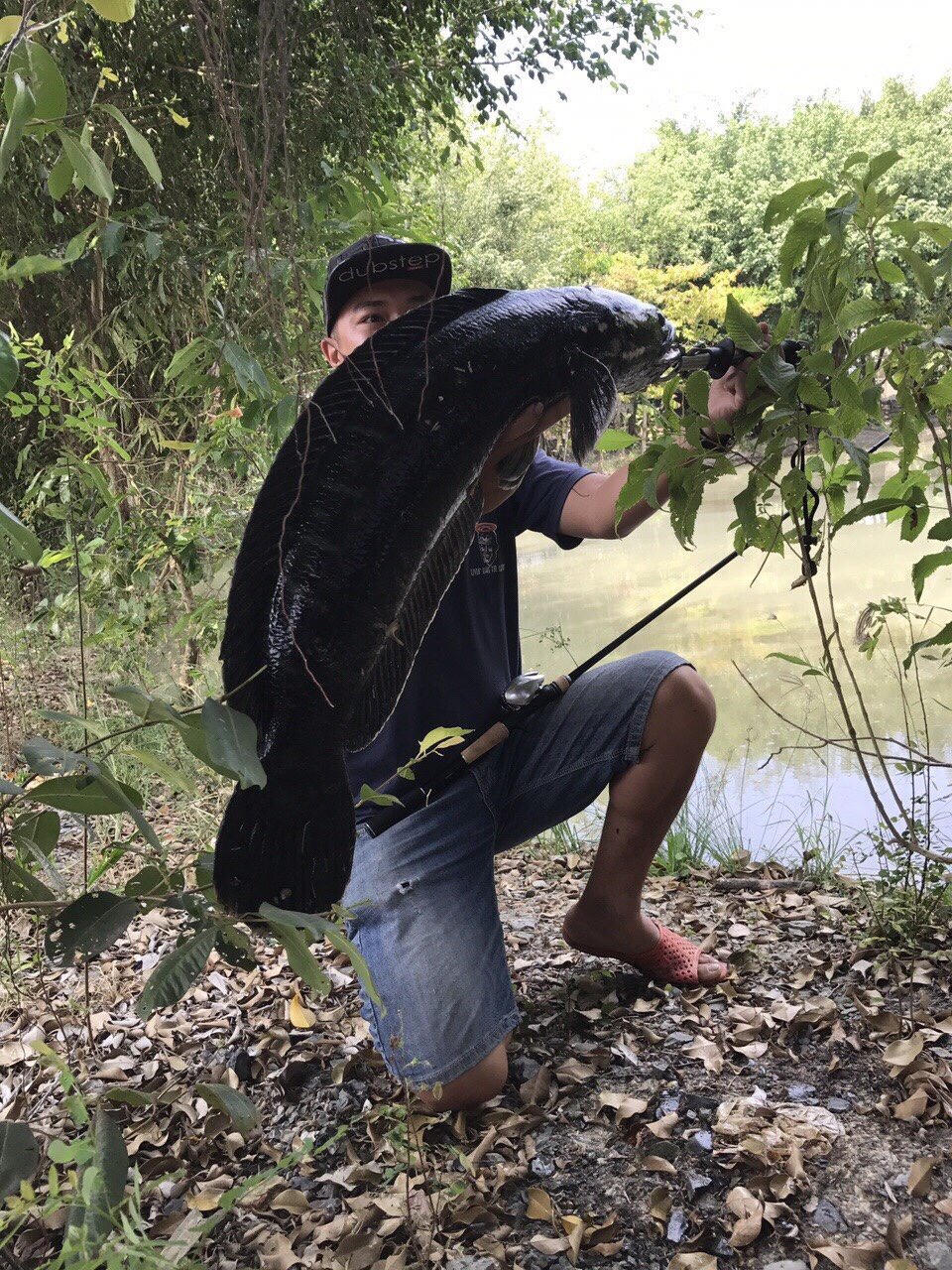 “Phượt” trên cung đường xanh