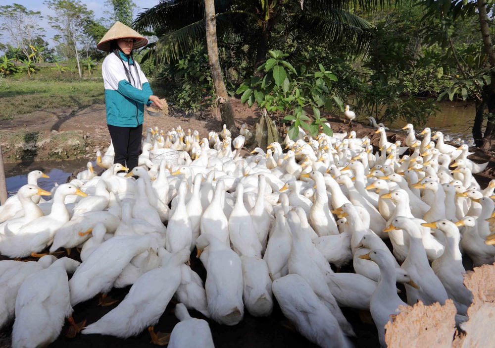 Động lực vươn lên của người nghèo ở Quảng Ninh