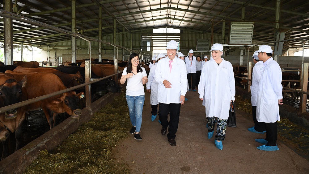 Thứ trưởng Bộ Nông nghiệp Hà Lan đến thăm Dự án Phát triển Vùng chăn nuôi bò sữa của Sữa Cô Gái Hà Lan