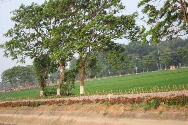 Những cung đường “thay da đổi thịt” tại Thụy Lôi