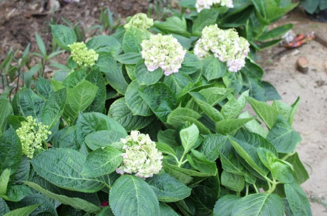 Những cung đường “thay da đổi thịt” tại Thụy Lôi