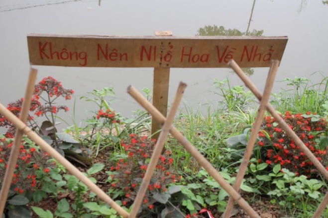 Những cung đường “thay da đổi thịt” tại Thụy Lôi