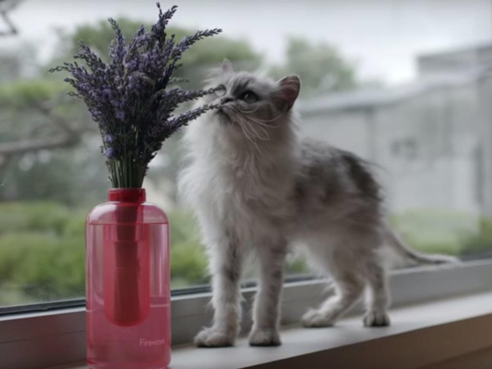 Độc đáo bình hoa có thể chữa cháy của Samsung