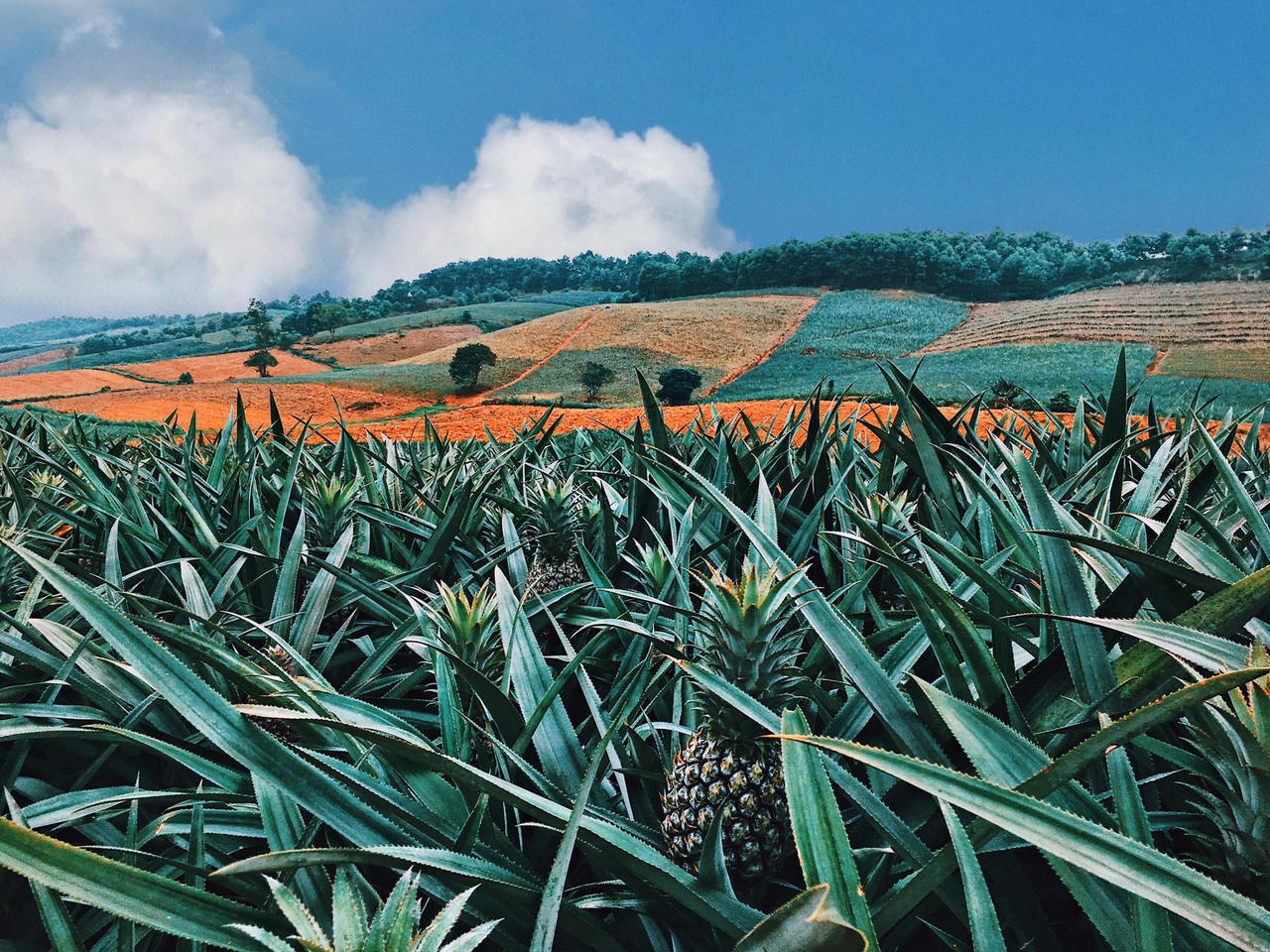 Gợi ý những điểm checkin không thể bỏ lỡ dịp Nghỉ lễ 30/4 