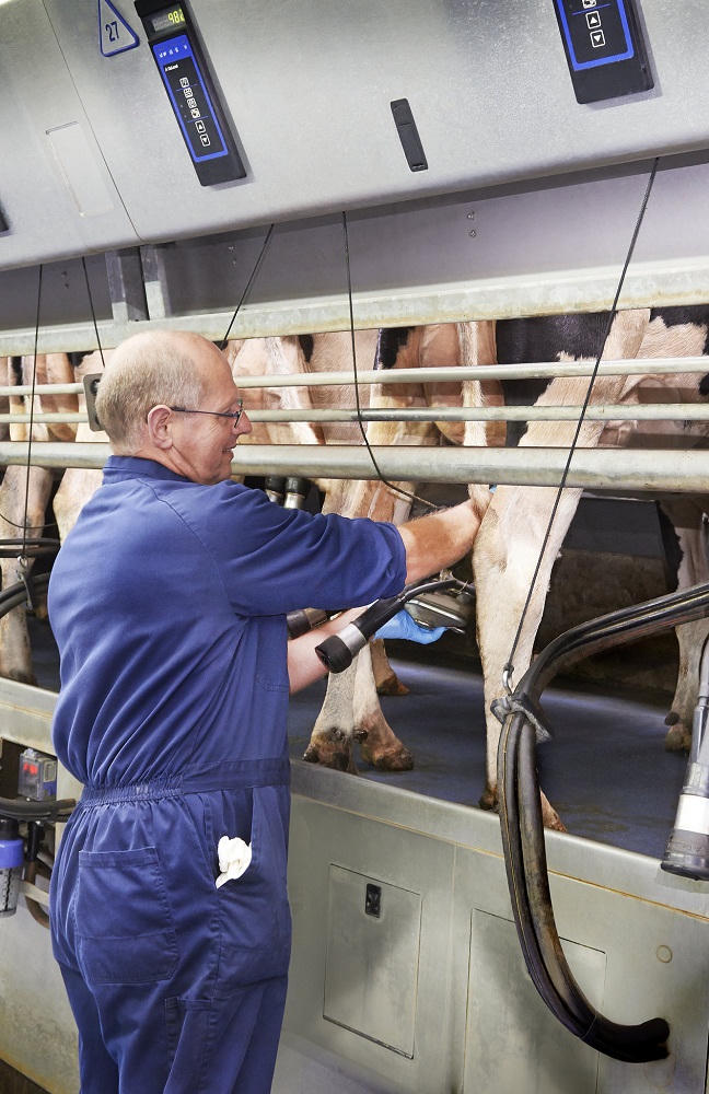 Sữa tươi Cô Gái Hà Lan và cách định vị thương hiệu từ chữ “chuẩn” 