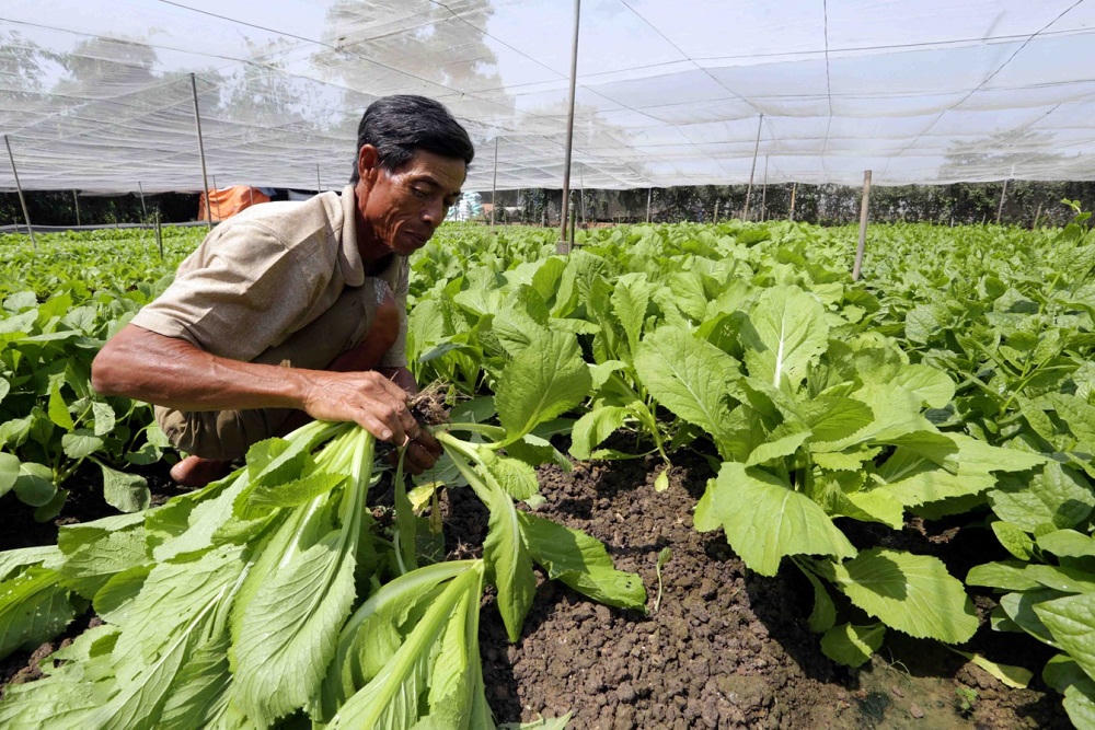 Vốn chính sách tạo dấu ấn trong nông thôn mới ở Đồng Nai
