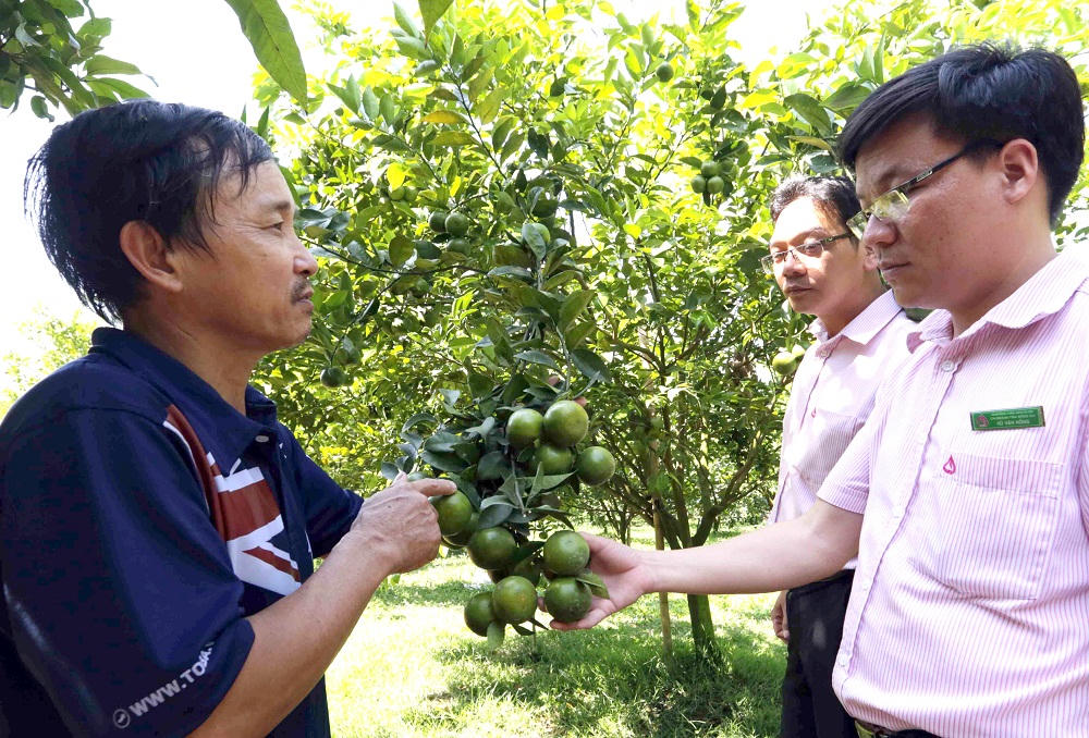 Vốn chính sách tạo dấu ấn trong nông thôn mới ở Đồng Nai