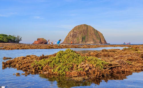 Du lịch có trách nhiệm trước thiên nhiên đang kêu cứu!