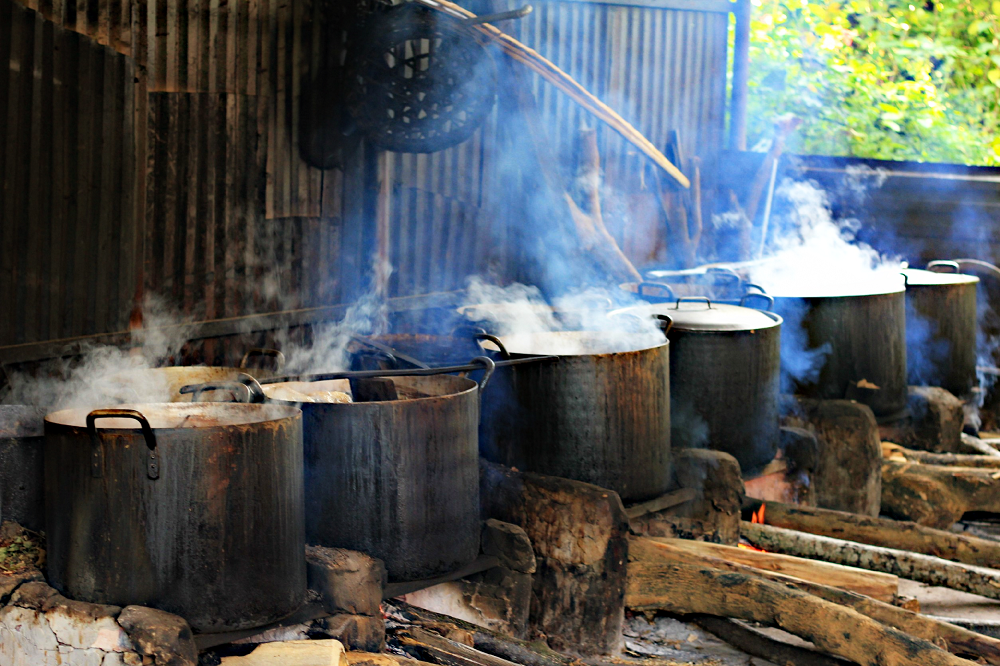 Làng 'chữa bách bệnh' dưới chân núi Tản