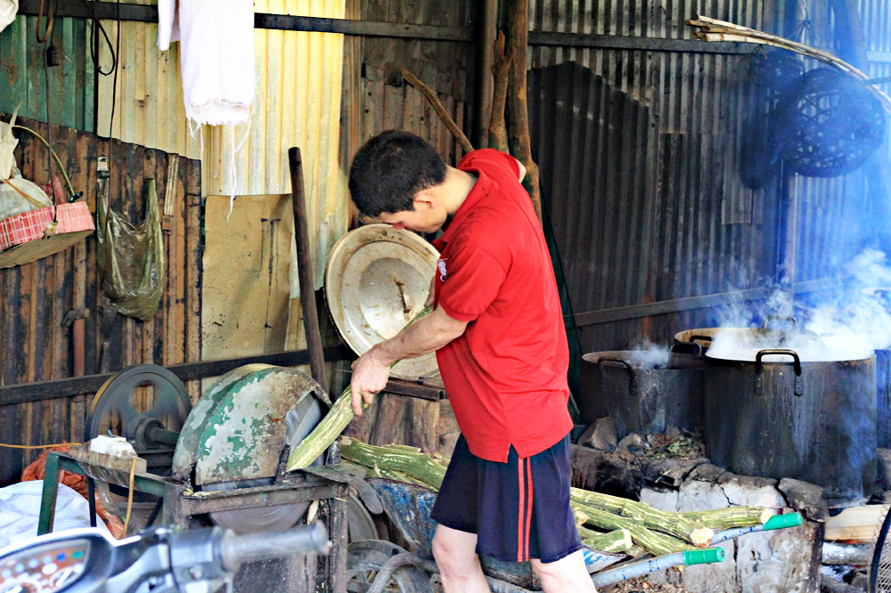 Làng 'chữa bách bệnh' dưới chân núi Tản